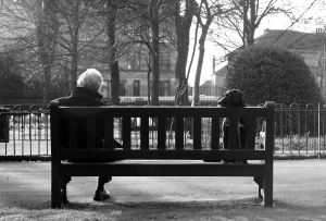 bench dog man 