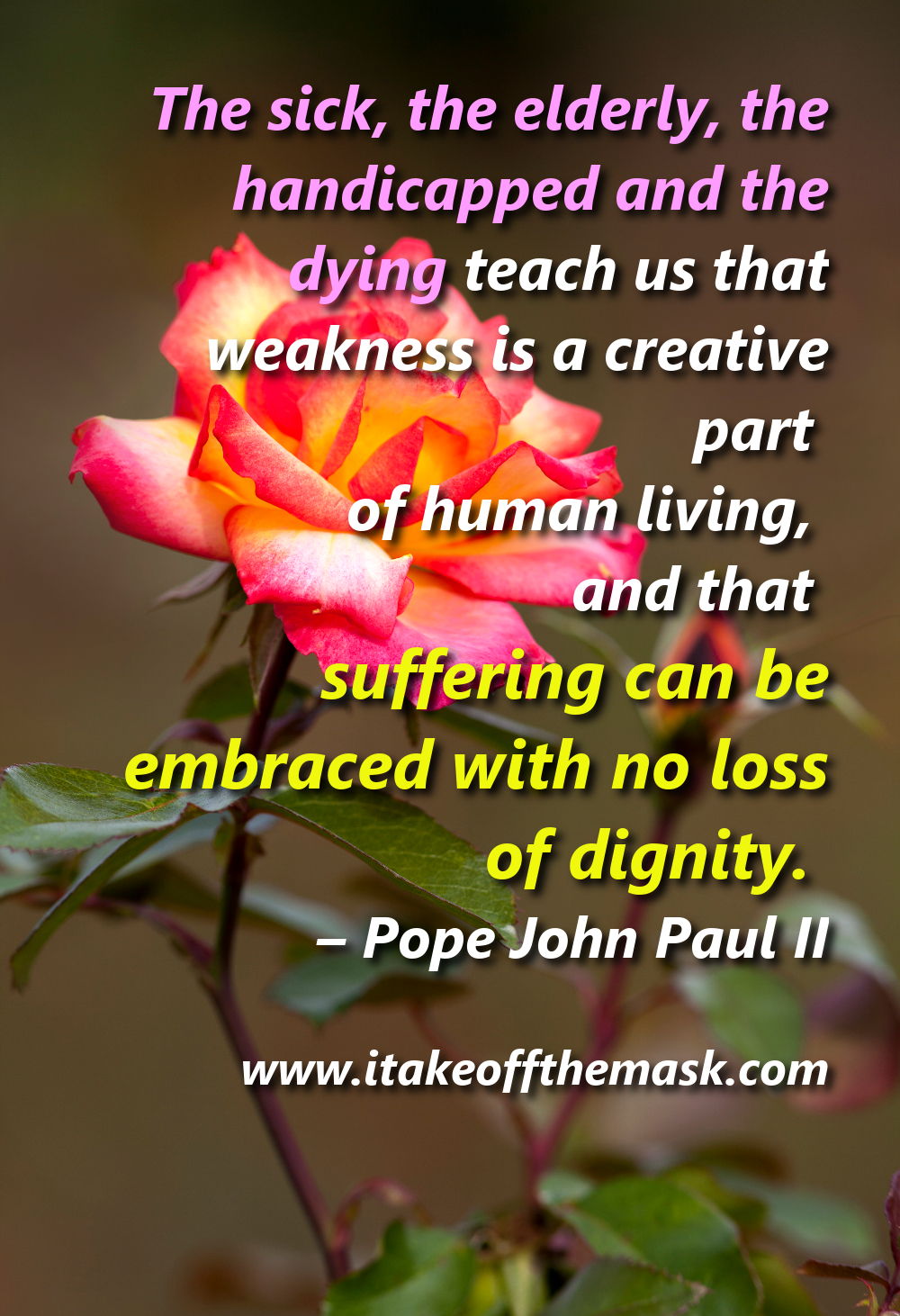 pope john paul ii quotes on suffering