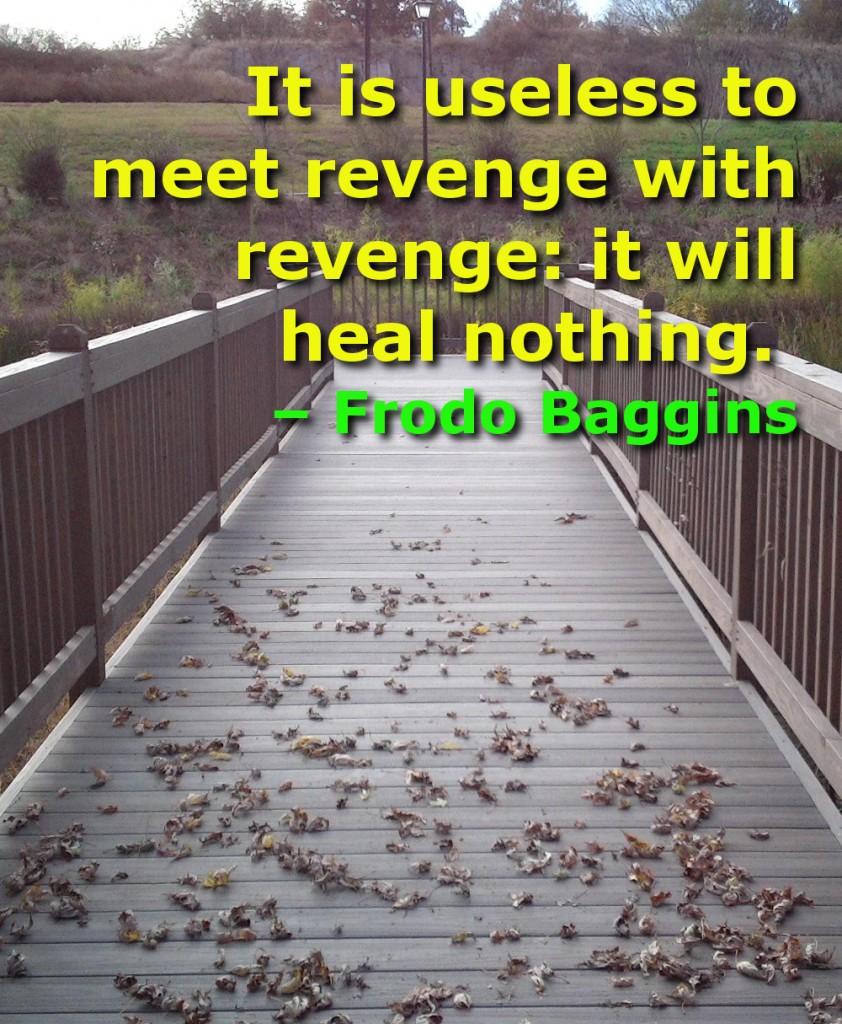 revengehealsnothing