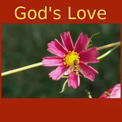 love of god quotes app