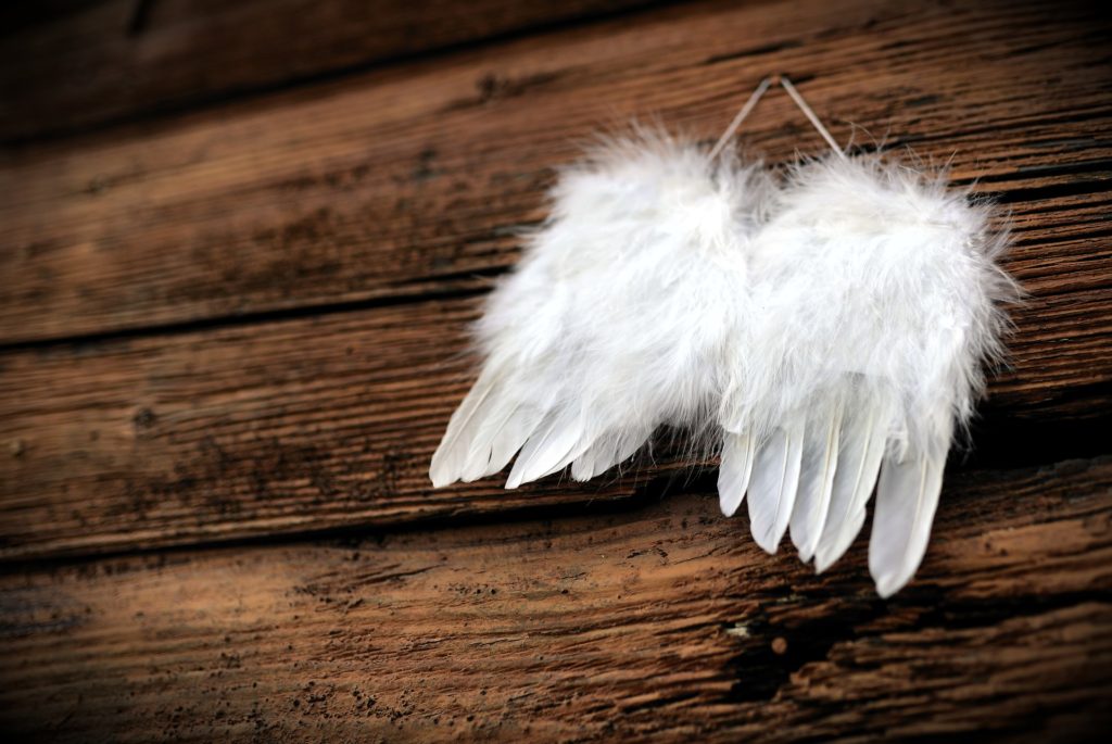 angel feathered wings grief