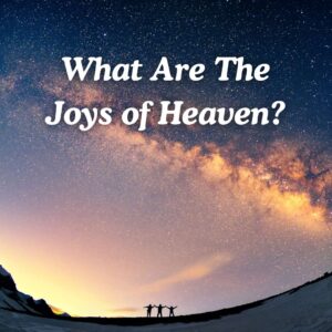 What Are The Joys of Heaven?