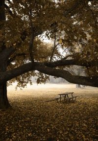 When You Grieve the Loss of a Loved One