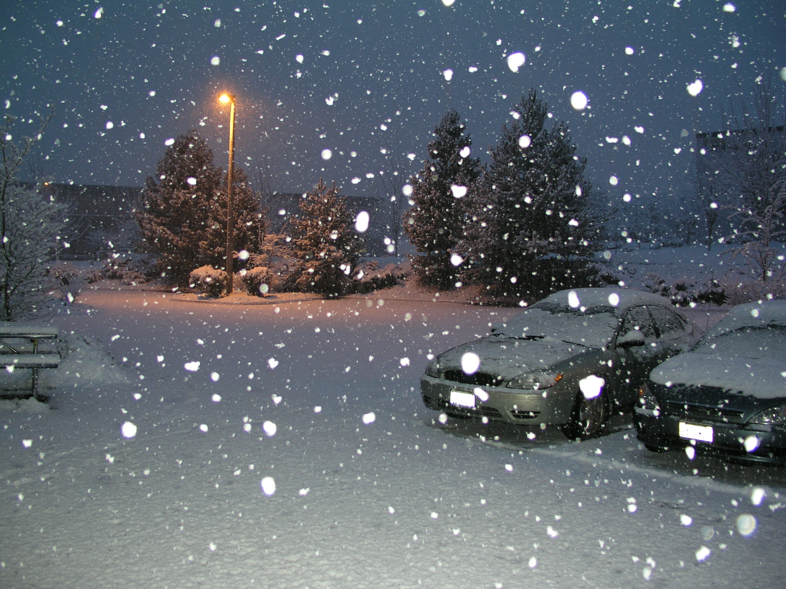 Snowfall на русском. Warm Snow.