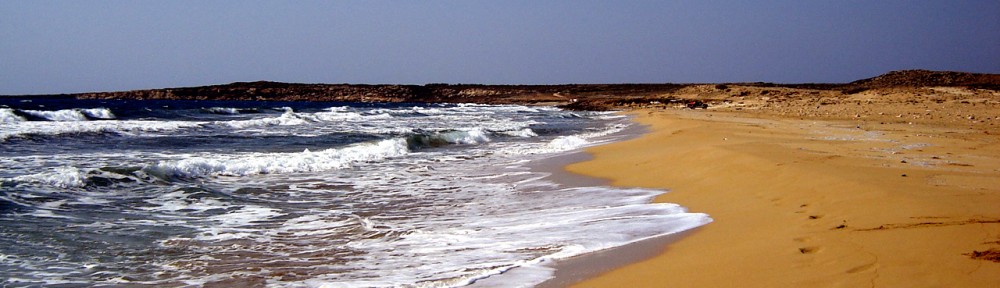 Walking Along The Shore