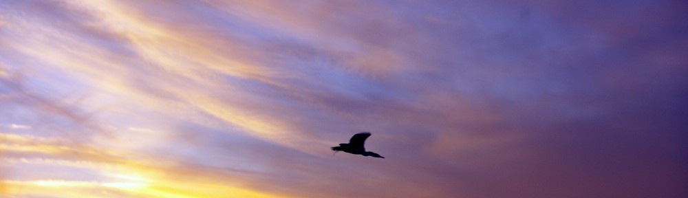 flying 2012
