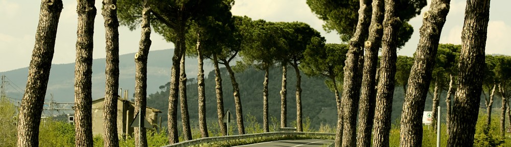 if life is a journey what do you bring with you 2012