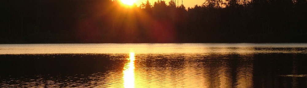 what stillness means 2012