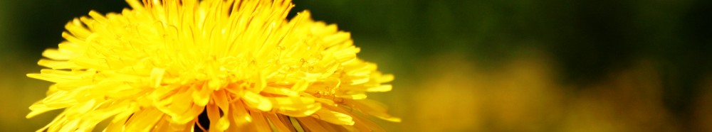 Inspiring bible psalms for the day