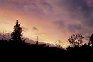 Morning Joy