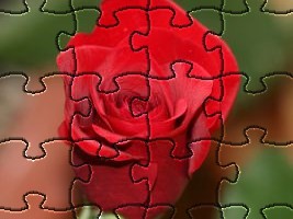 life is like a big puzzle that never gets solved