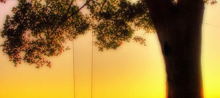 Swing in the sunset Branford, CT. by slack12 at flickr
