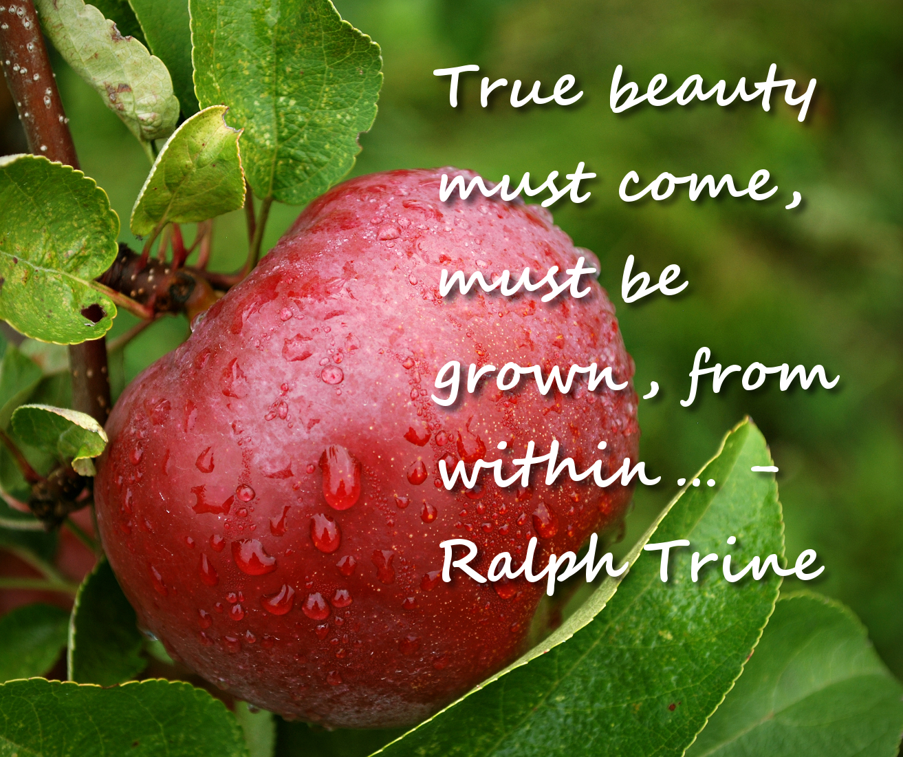 When Beauty Comes From Within - "I Take Off The Mask!" - Quotes, Poems