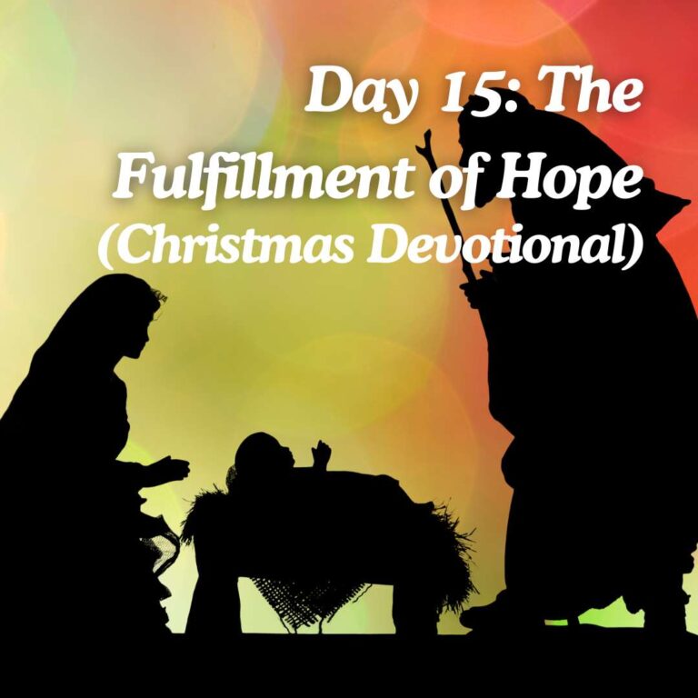 Day 15 The Fulfillment of Hope (Christmas Devotional) I Take Off the Mask